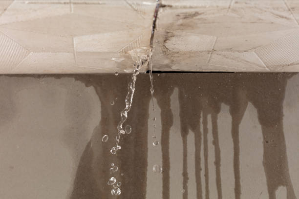Professional Burst Pipe Cleanup technician working in Burlison, TN